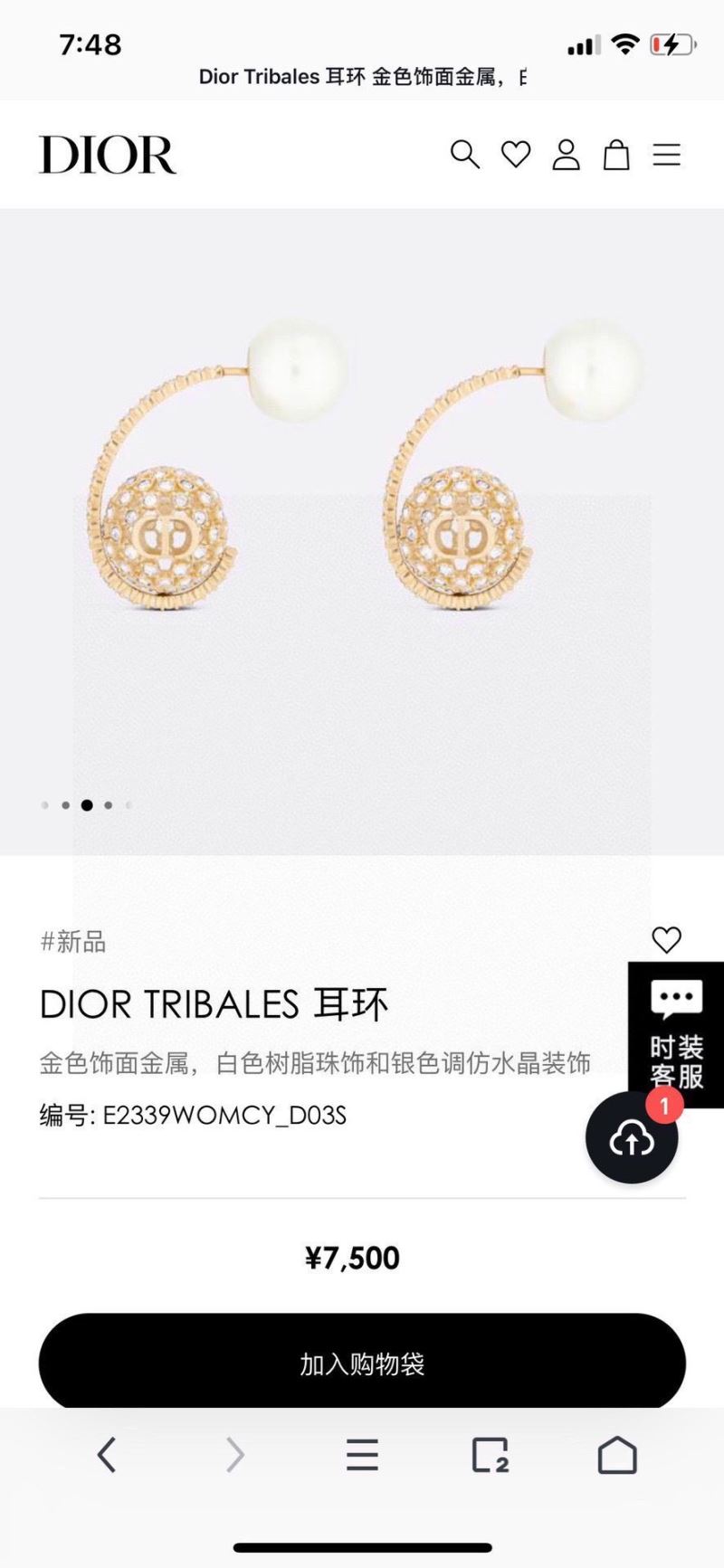 Christian Dior Earrings